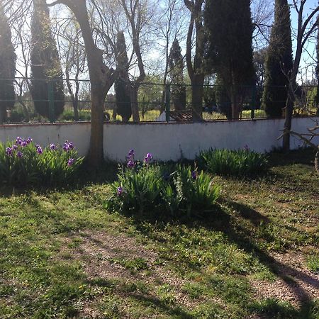 Agroturismo Calixto Villarrobledo Extérieur photo