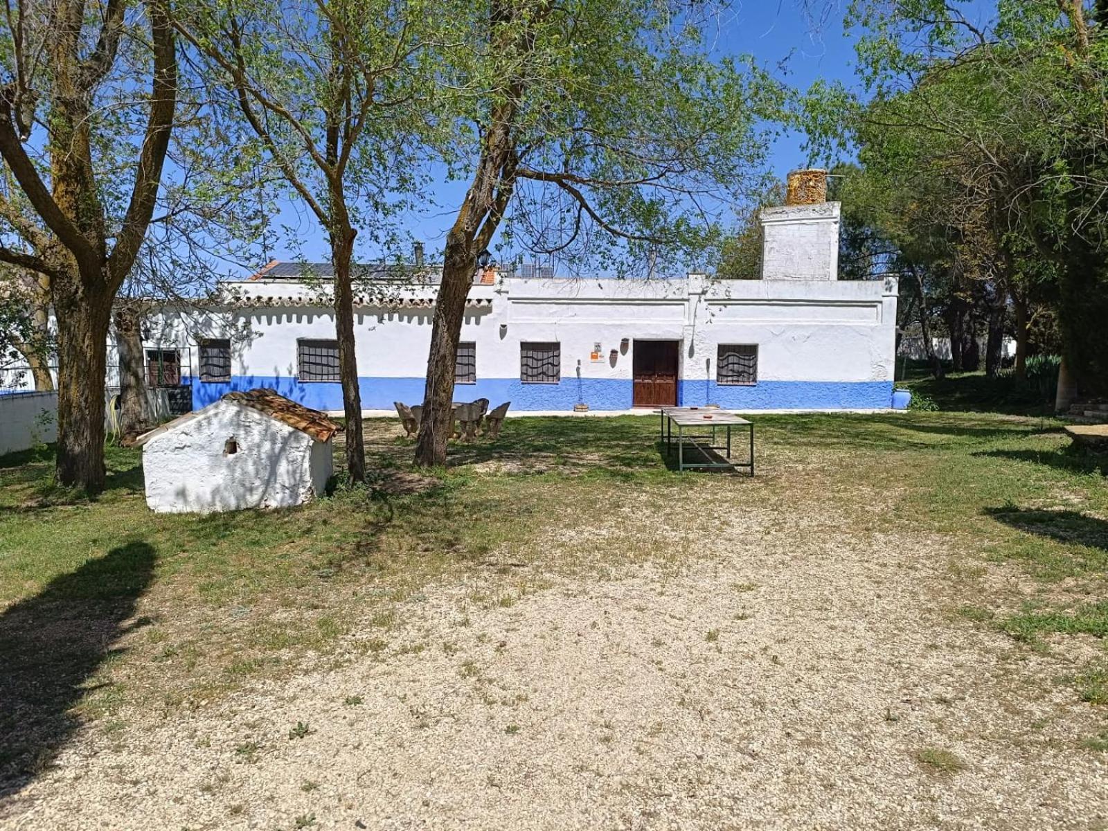 Agroturismo Calixto Villarrobledo Extérieur photo